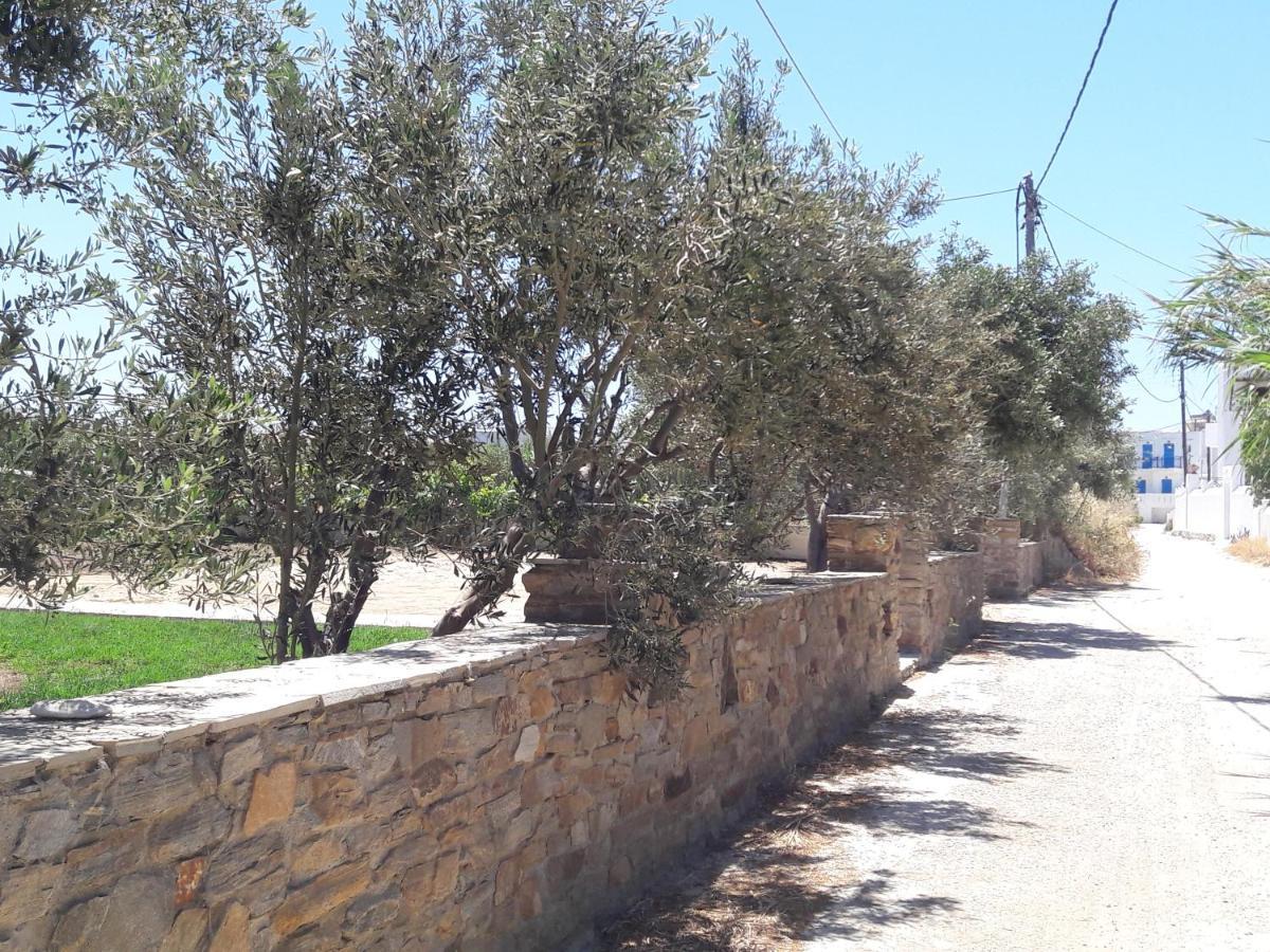 Elpidas Studios Αγία Άννα Εξωτερικό φωτογραφία