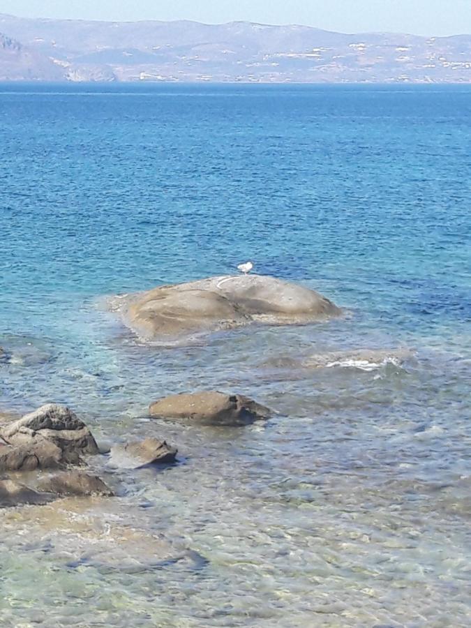 Elpidas Studios Αγία Άννα Εξωτερικό φωτογραφία