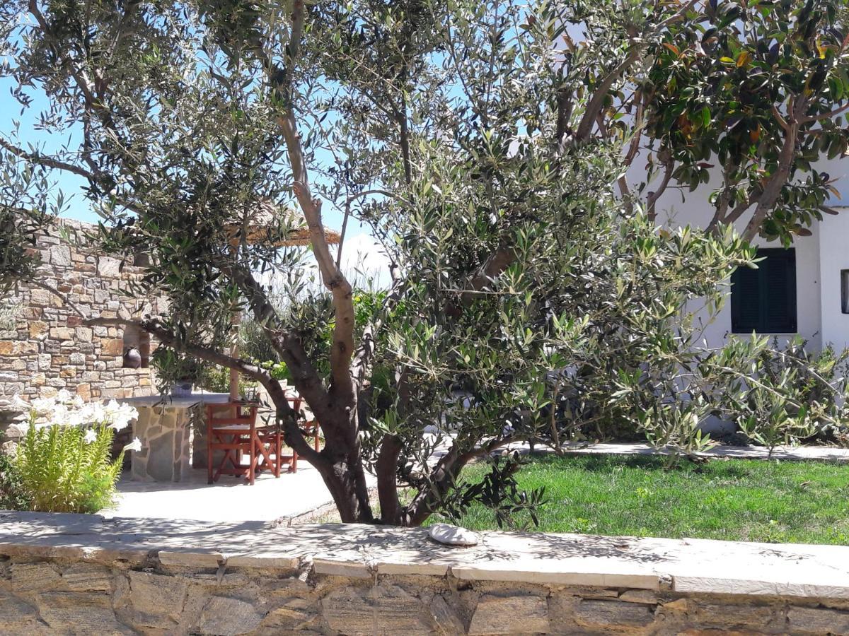 Elpidas Studios Αγία Άννα Εξωτερικό φωτογραφία