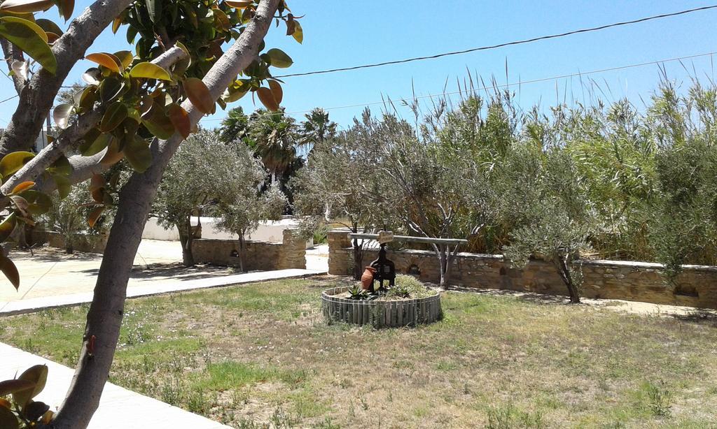 Elpidas Studios Αγία Άννα Εξωτερικό φωτογραφία